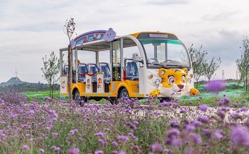 電動觀光車廠家哪個品牌好，電動觀光車市場價格